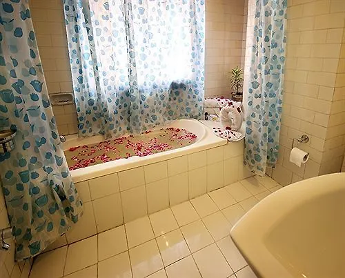 Anand Palace Hotel أُودايبور